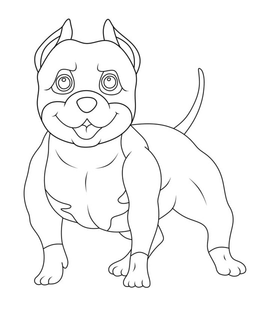 Pitbull Easy