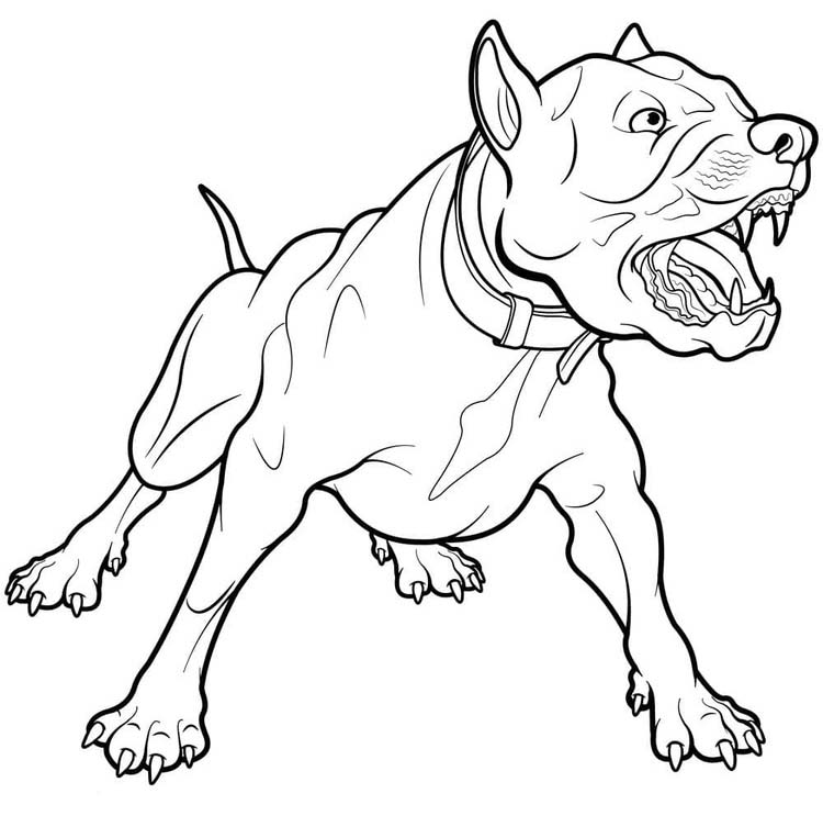Pitbull Free Printable