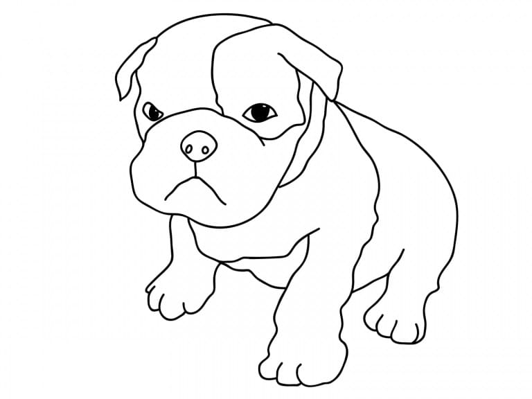 Pitbull Puppy Coloring Game Pitbull Puppy