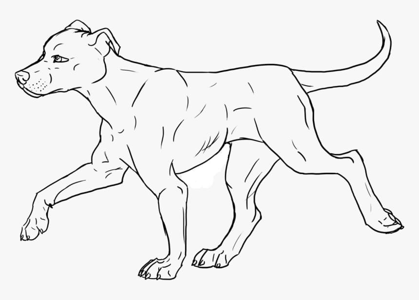 Pitbull is Walking Coloring Game Pitbull is Walking