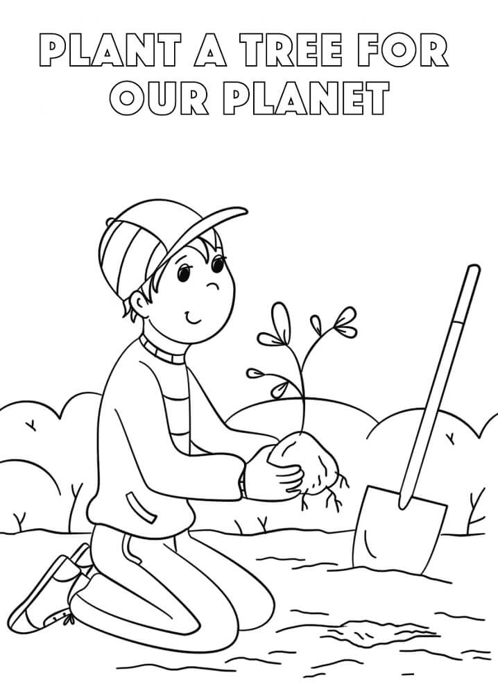 Plant a Tree
