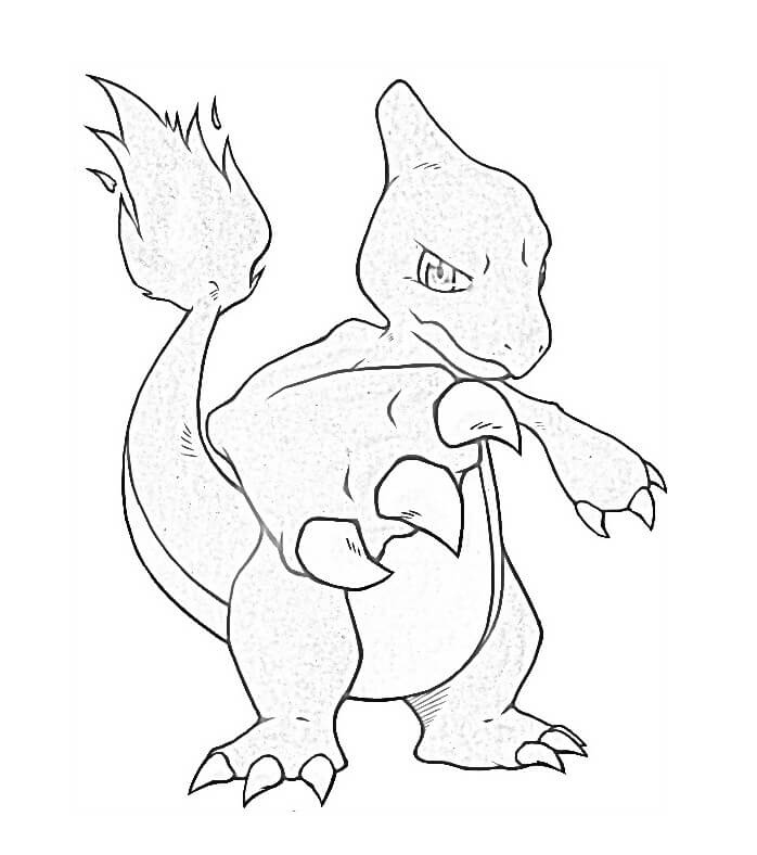 Pokemon Charmeleon 1