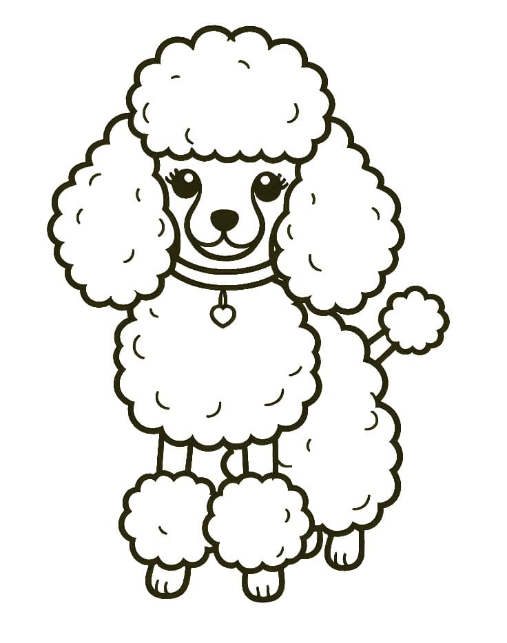 Poodle Smiling