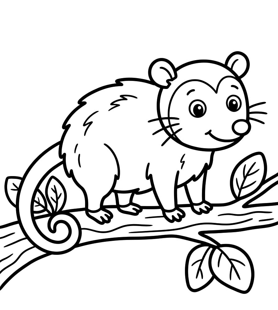 Possum Free