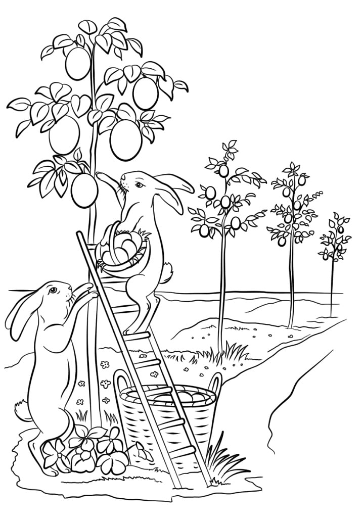 Pretty Easter Rabbits