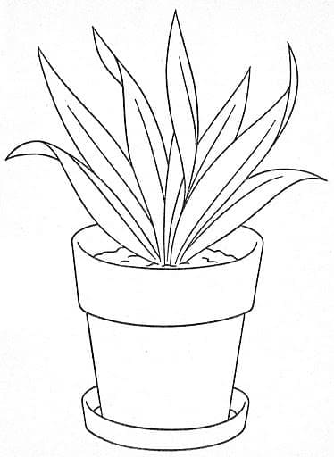 Print Flower Pot