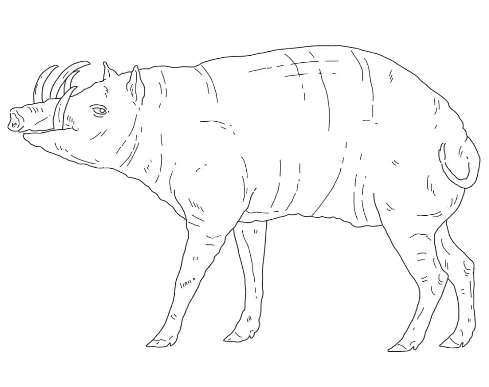 Printable Babirusa
