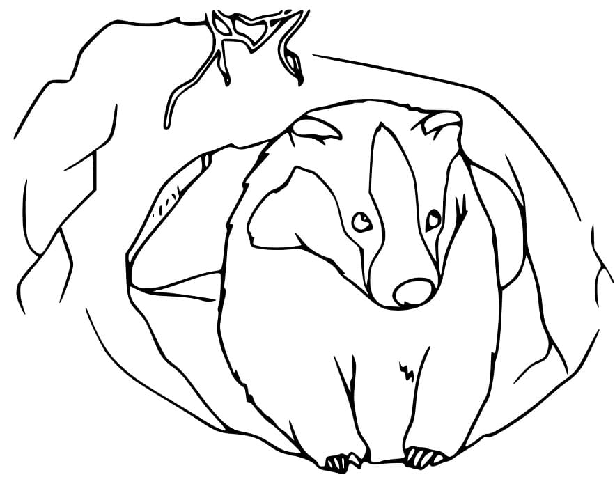 Printable Badger Coloring Game Printable Badger