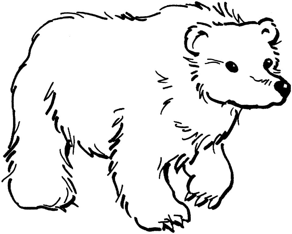 Printable Brown Bear Coloring Game Printable Brown Bear