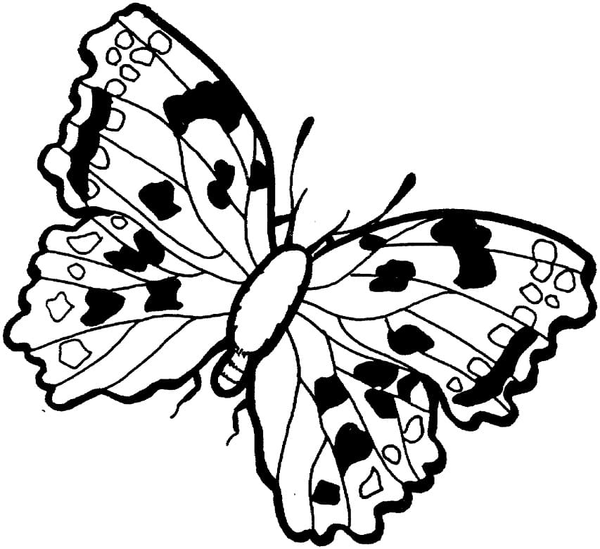 Printable Butterfly