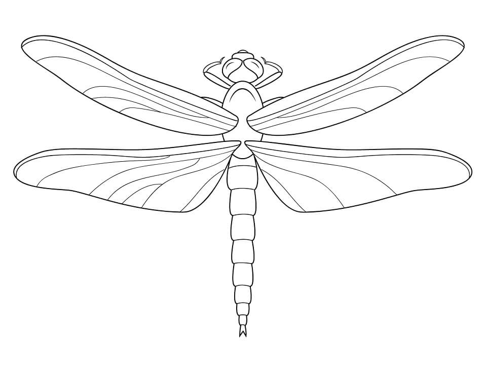 Printable Dragonfly Coloring Game Printable Dragonfly
