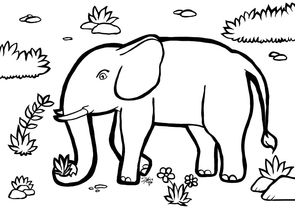 Printable Elephant