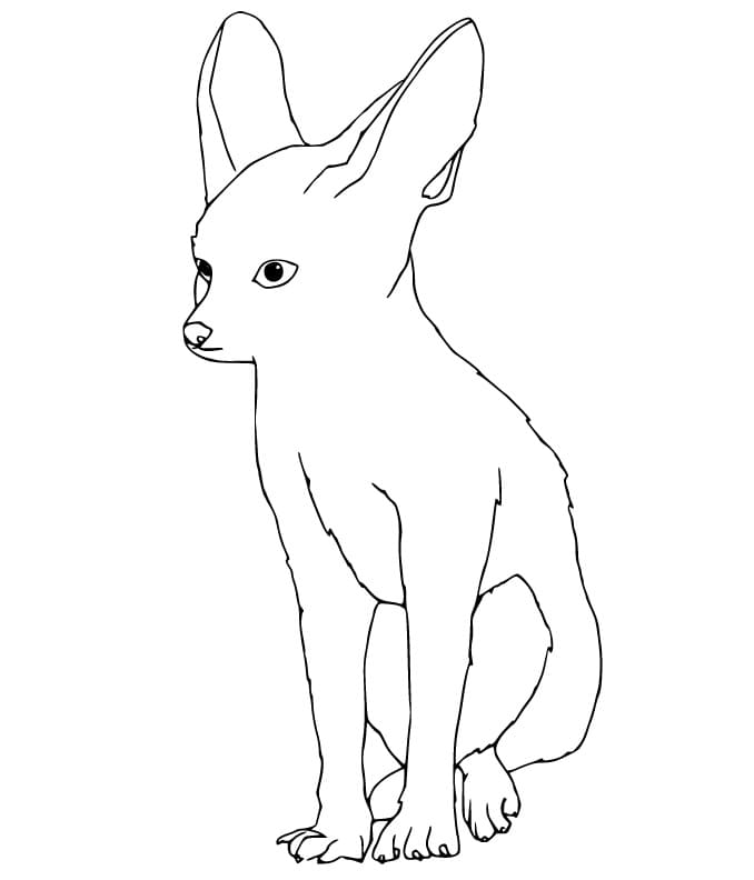 Printable Fennec Fox