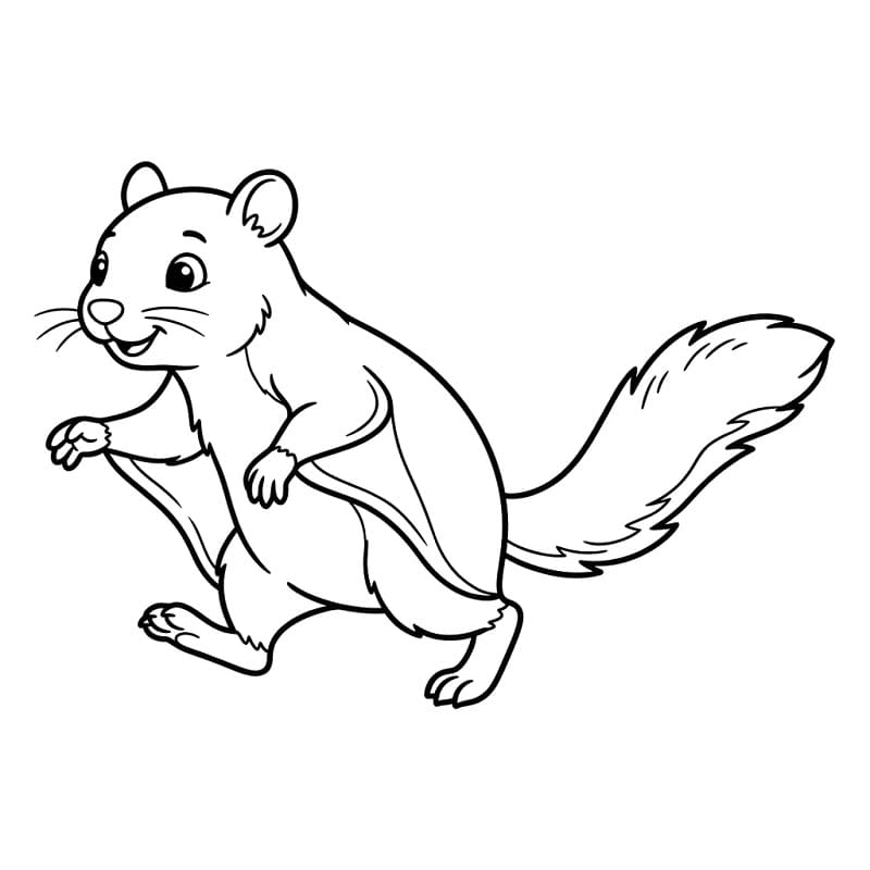 Printable Flying Squirrel