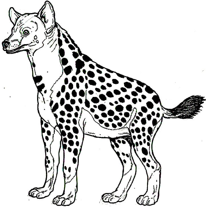 Printable Hyena Coloring Game Printable Hyena