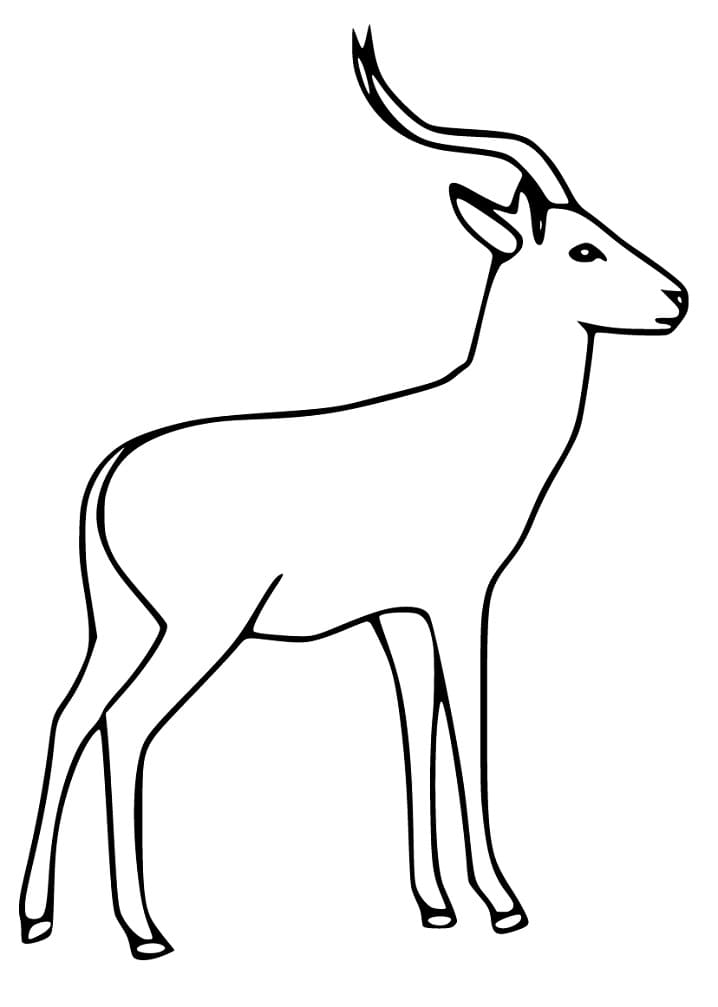 Printable Impala