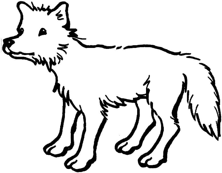 Printable Lovely Coyote Coloring - Play Free Coloring Game Online