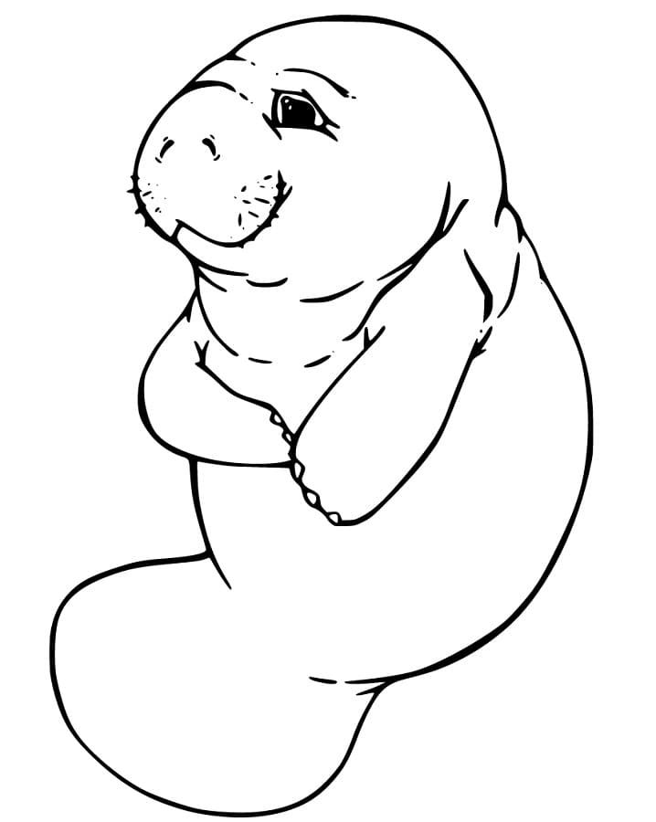 Printable Manatee