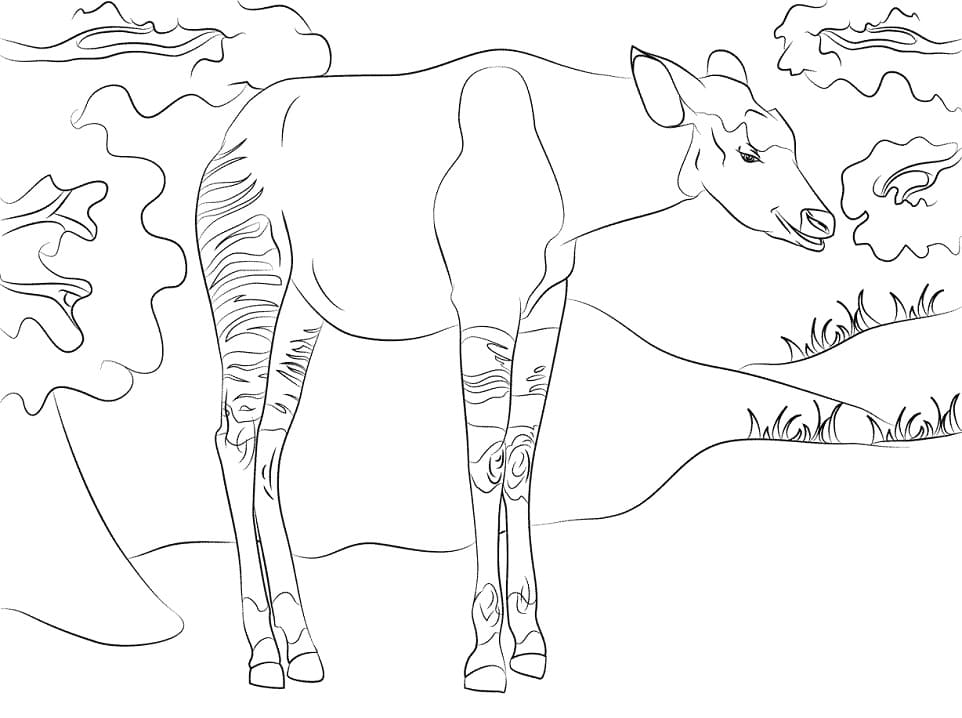 Printable Okapi Coloring - Play Free Coloring Game Online