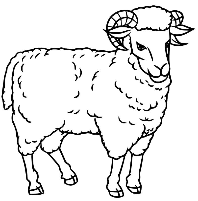 Printable Ram