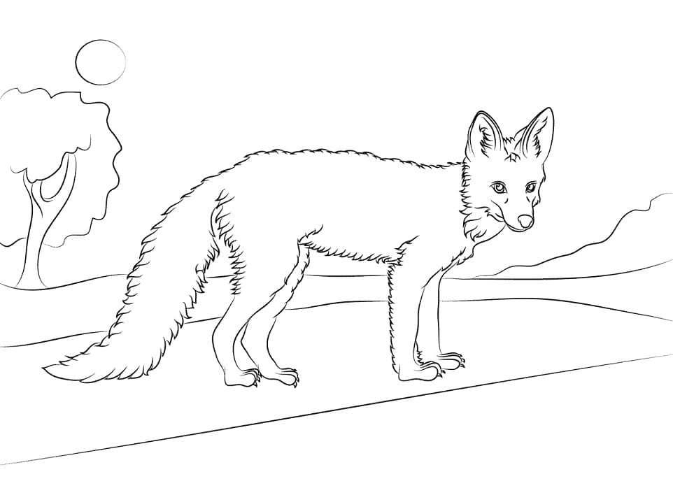 Printable Red Fox