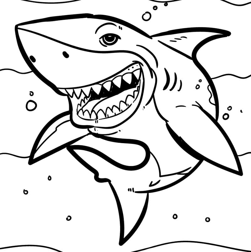 Printable Shark