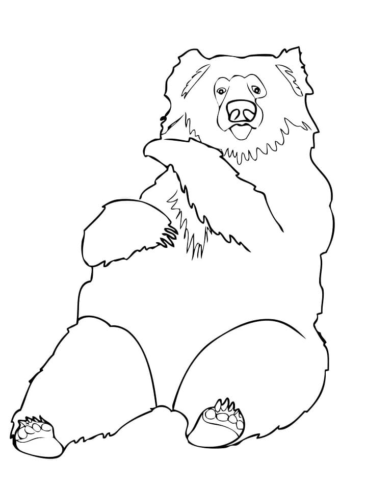 Printable Sloth Bear Coloring Game Printable Sloth Bear
