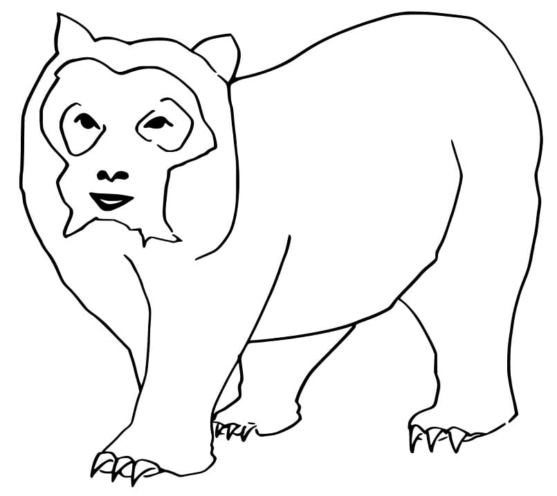 Printable Spectacled Bear Coloring Game Printable Spectacled Bear