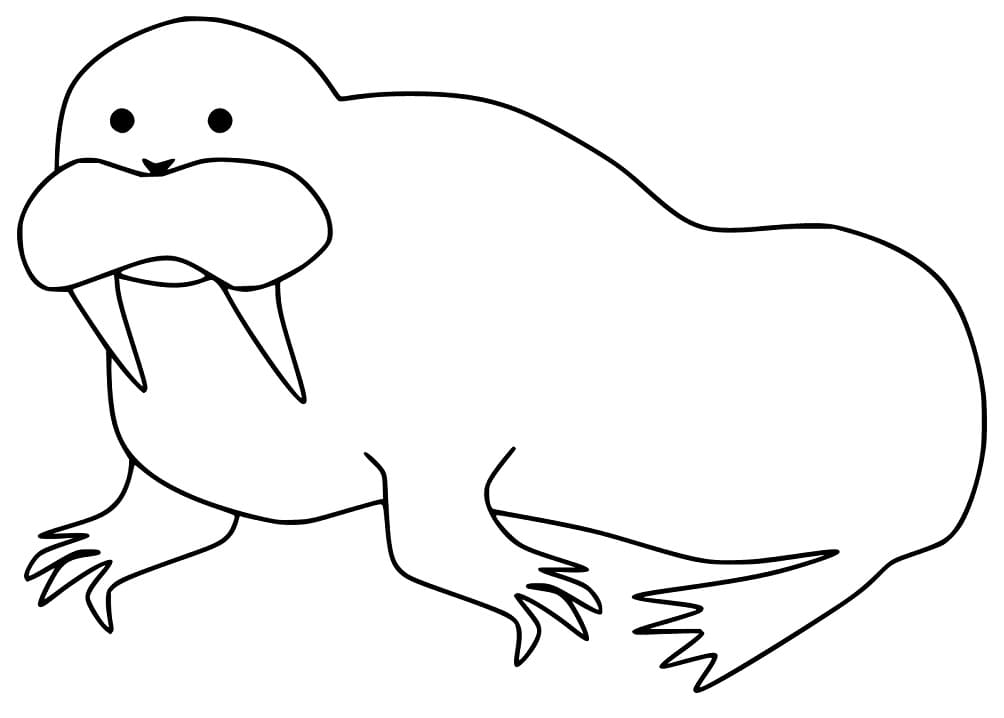 Printable Walrus