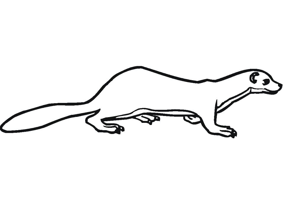 Printable Weasel Coloring Game Printable Weasel