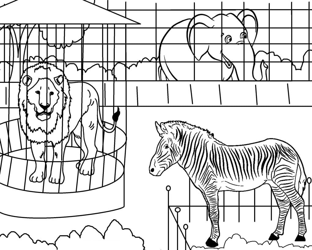 Free Printable Zoo Coloring Play Free Coloring Game Online