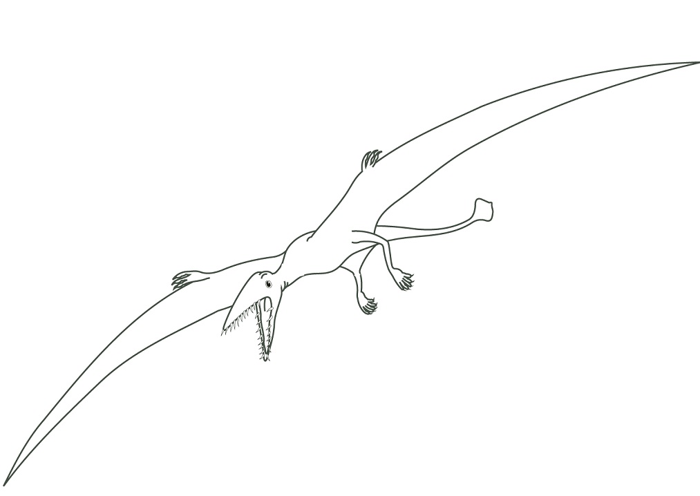 Pterodactyl Dinosaur