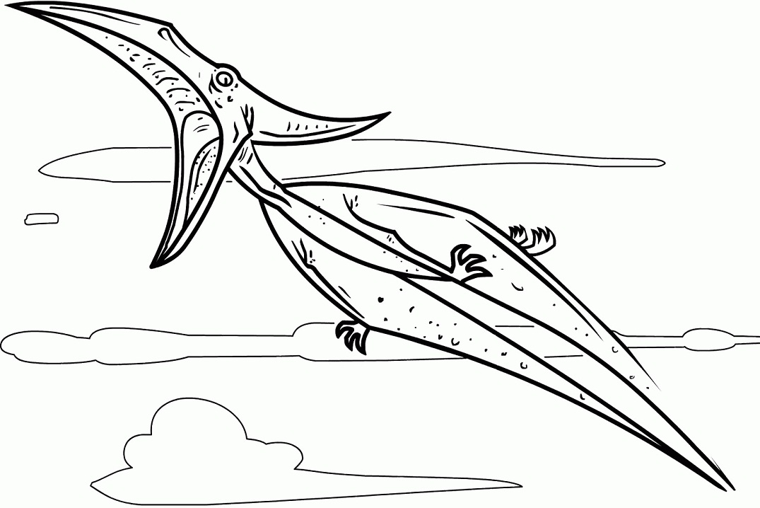 Pterodactyl 5