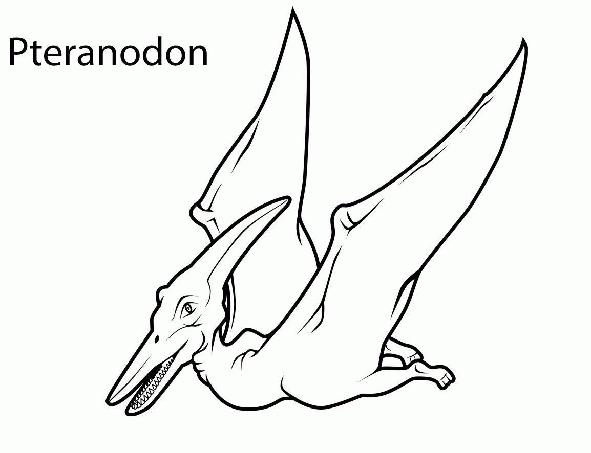 Pterodactyl 7