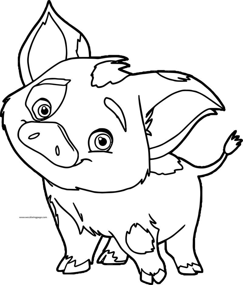 Pua Pig