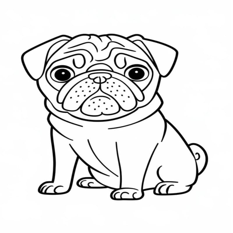 Pug Free
