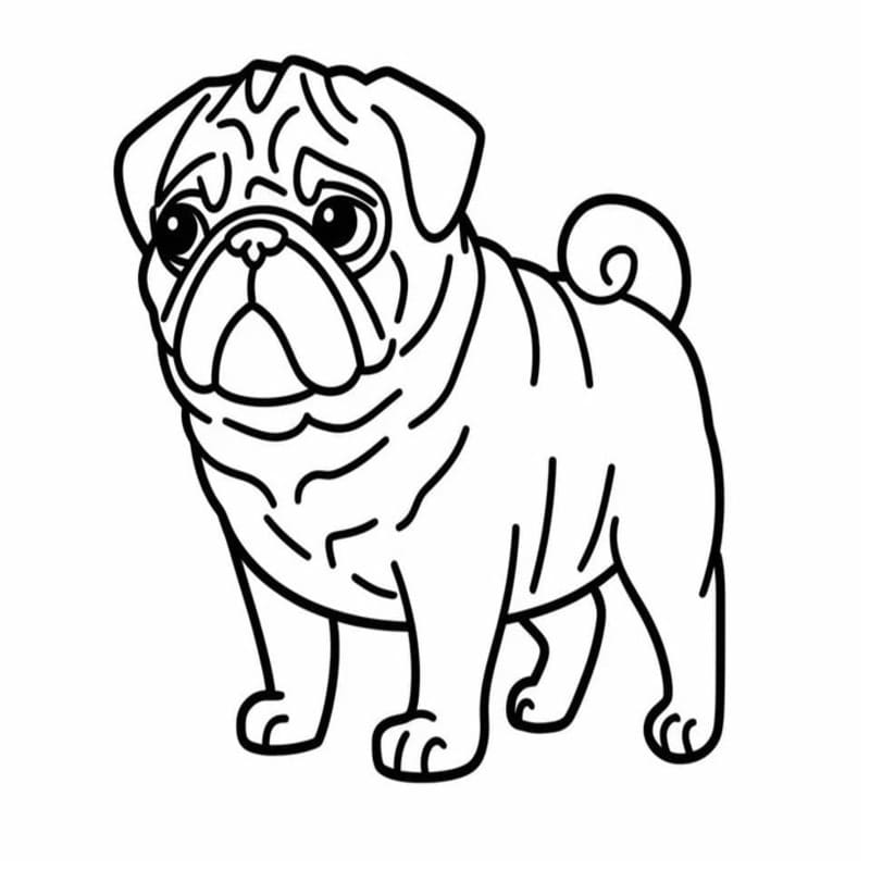 Pug Printable