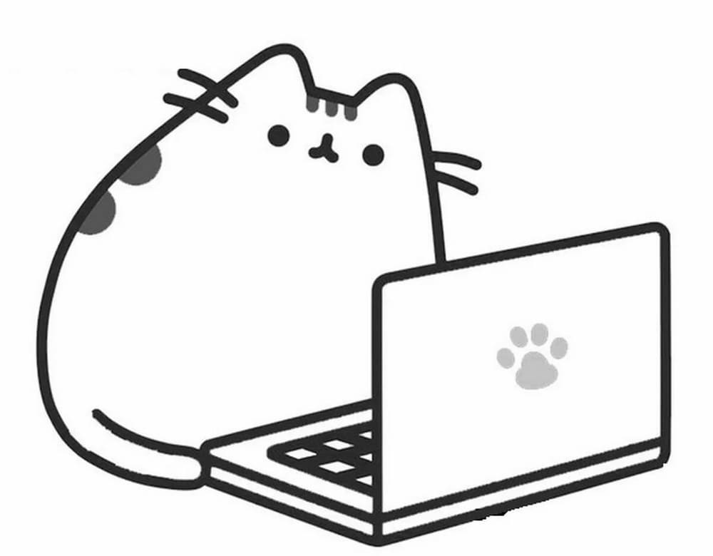 Pusheen Working With Laptop