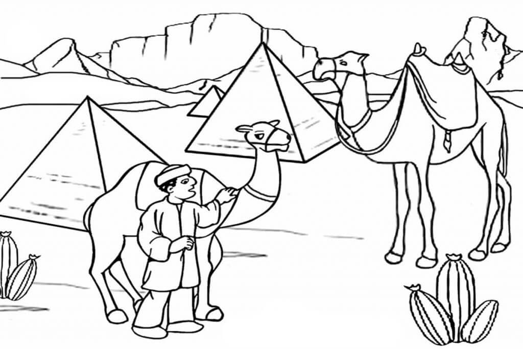 Pyramid in the Desert Coloring Game Pyramid in the Desert