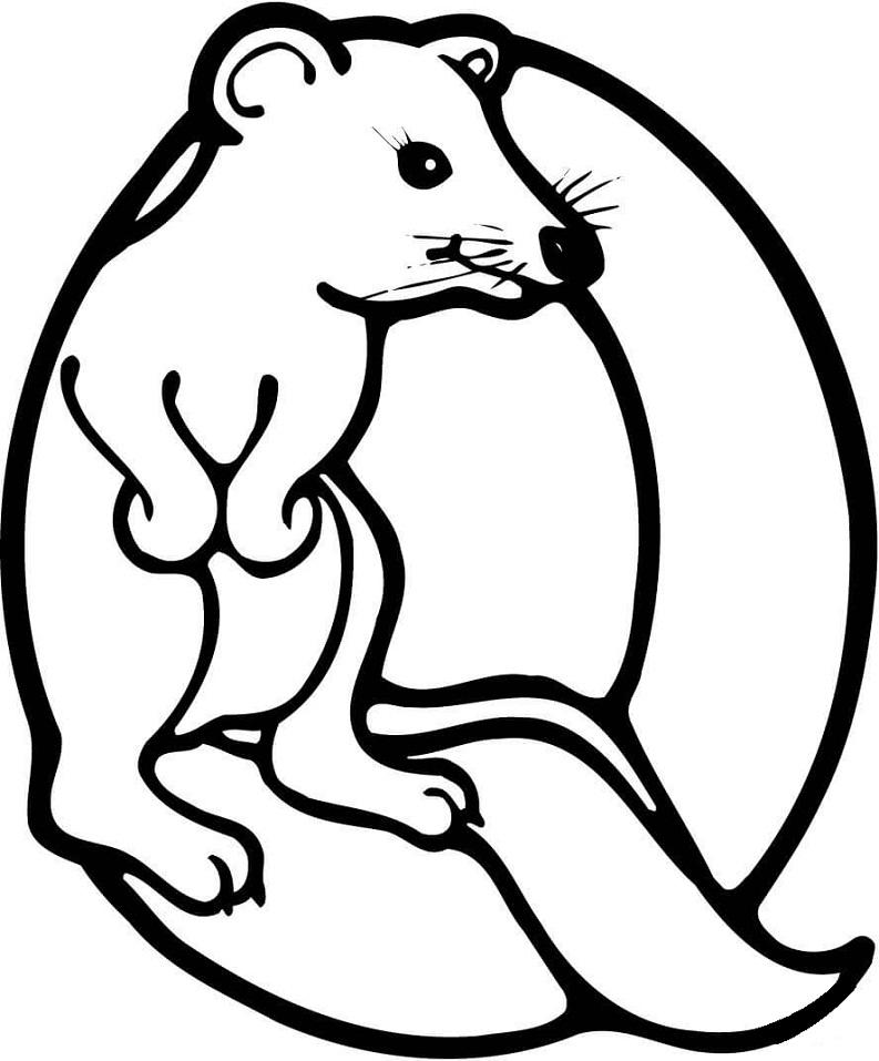 Quokka Letter Q