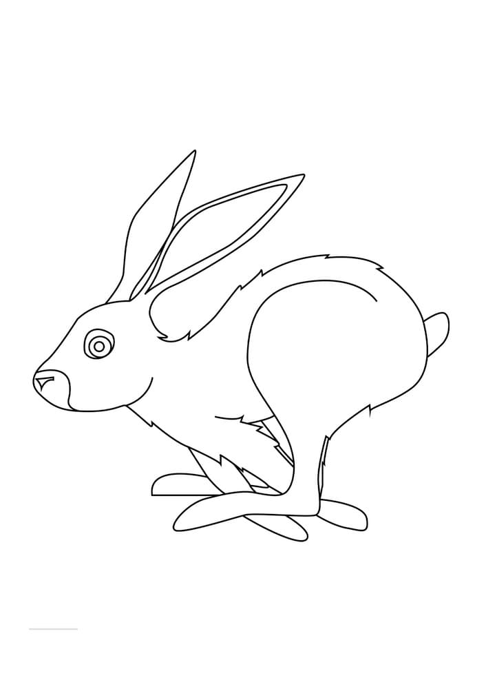 Rabbit Running Coloring Game Rabbit Running