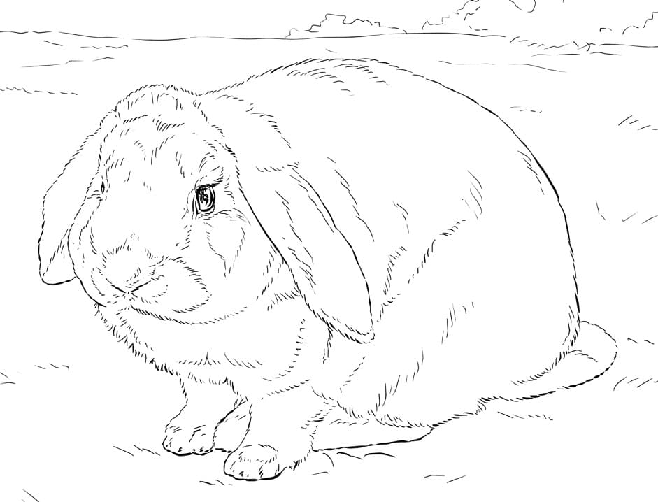 Rabbit is Scared Coloring Game Rabbit is Scared