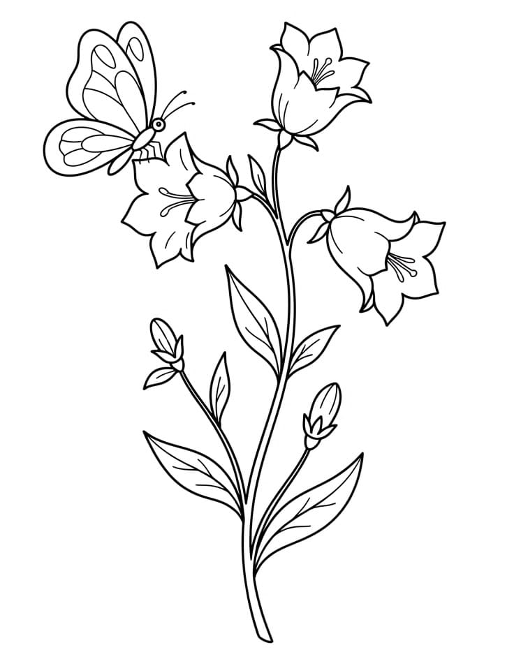 Realistic Bellflower