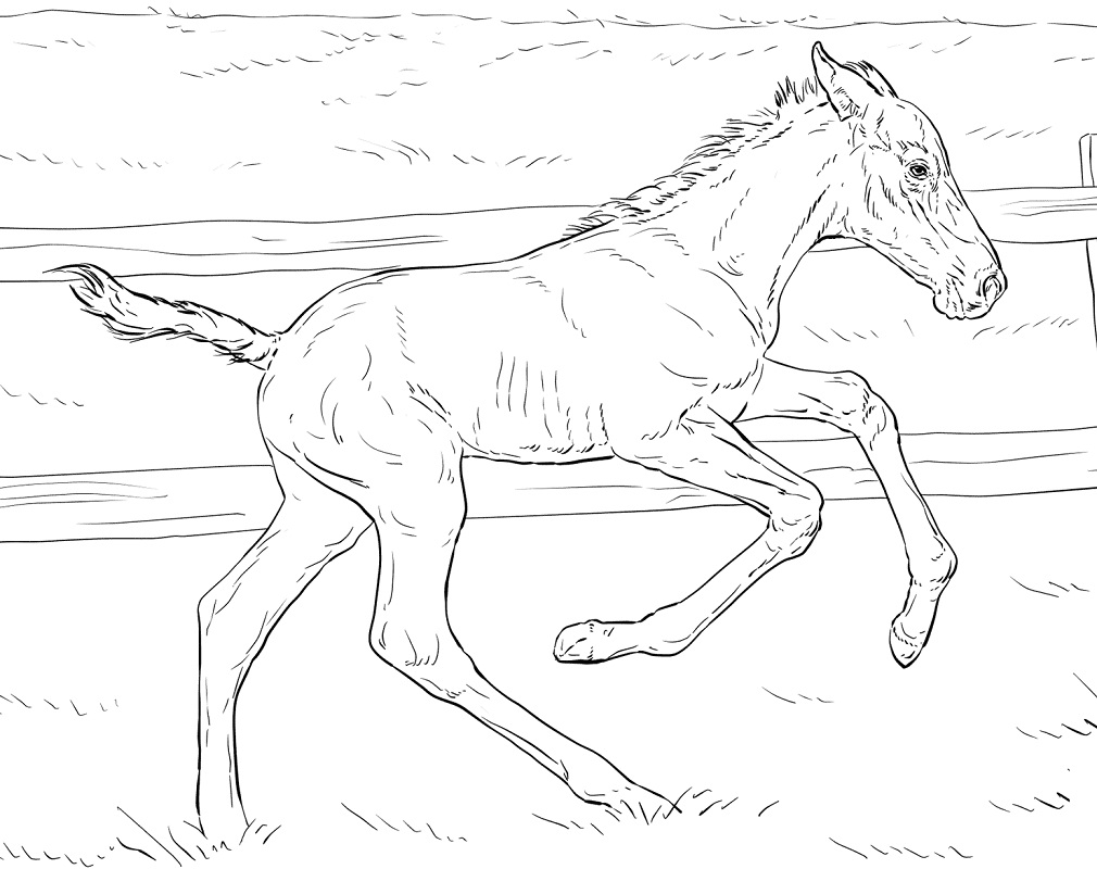 Realistic Bucking Foal