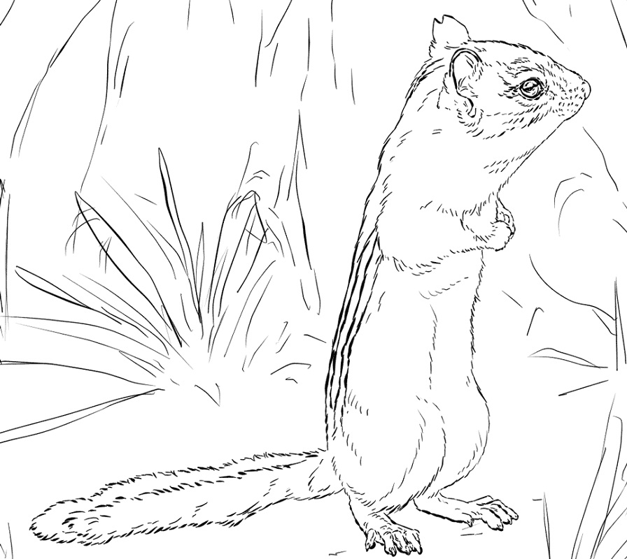 Realistic Eastern Chipmunk