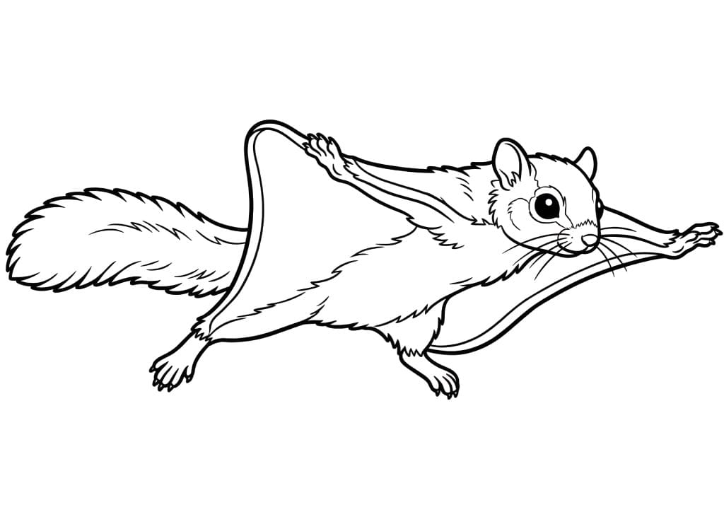 Realistic Flying Squirrel