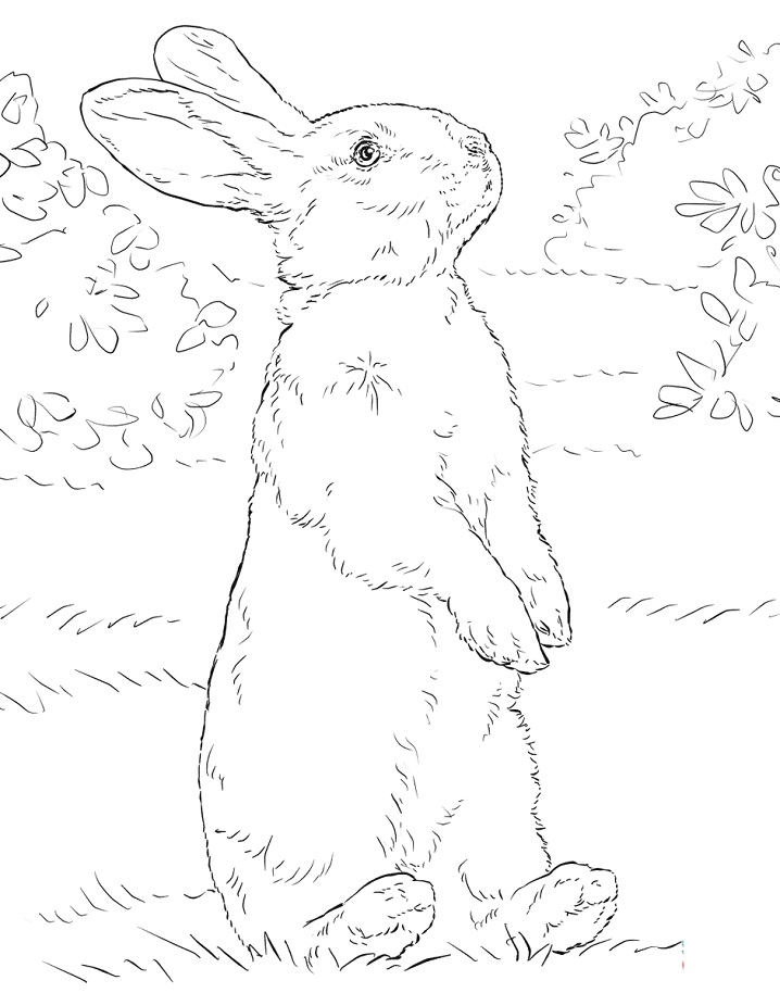 Realistic Rabbit