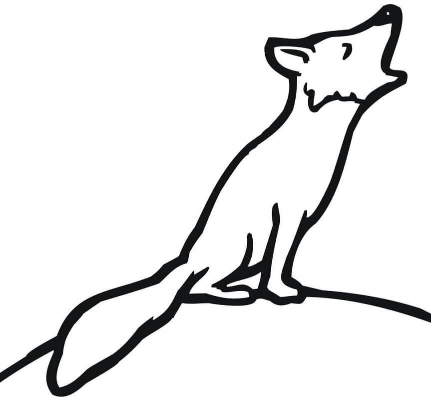 Printable Red Fox Coloring - Play Free Coloring Game Online