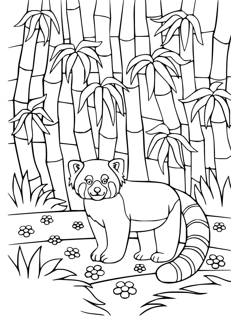 Red Panda in Bamboo Forest