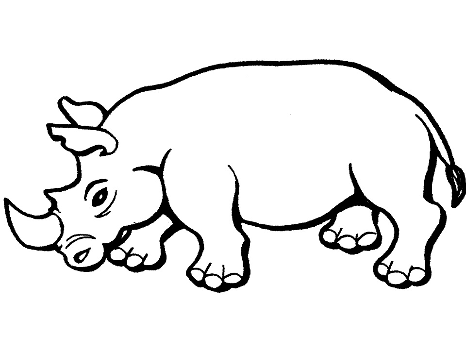 Rhino